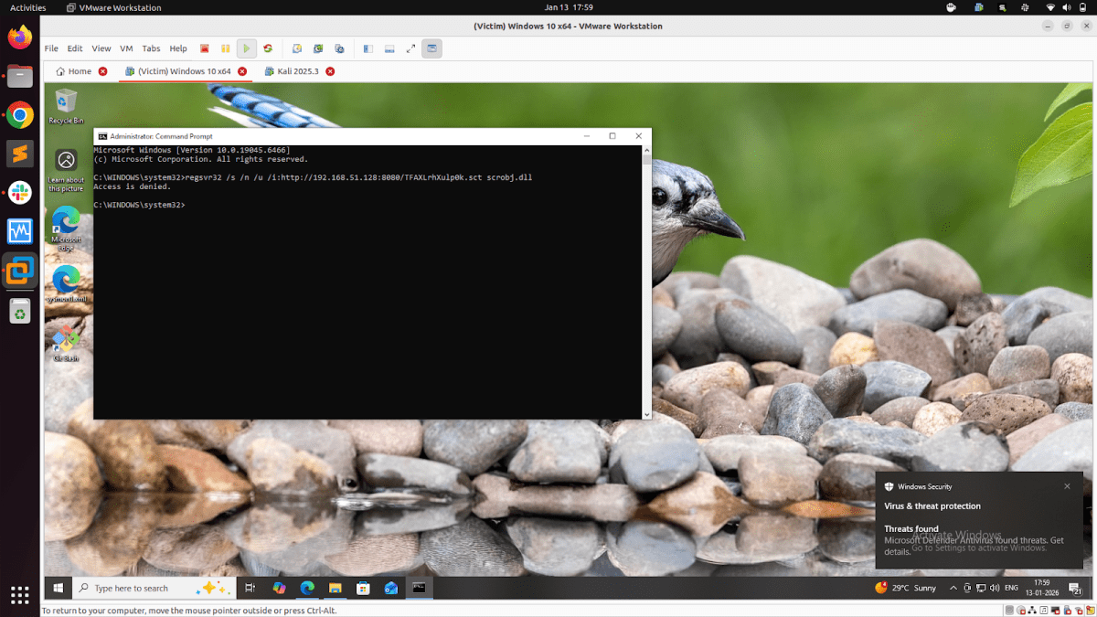 A VMware workstation window displaying a Windows 10 virtual machine with an open Command Prompt showing a registry service command. In the background, there's a close-up image of a bird on a bed of pebbles.