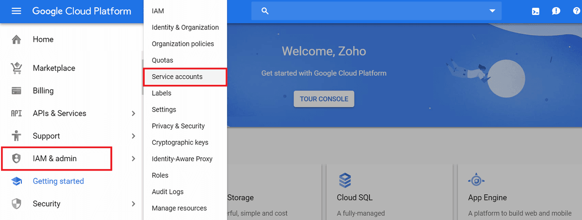 Screenshot showing select the option Project and click the Viewer role.
