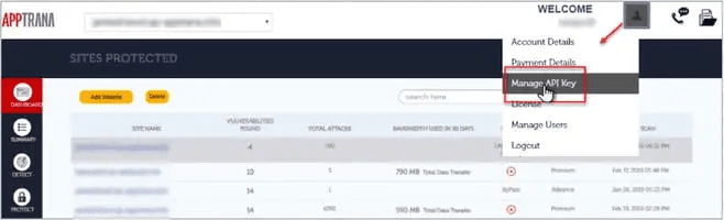 Screenshot showing the Manage API Key option in the User Profile drop-down