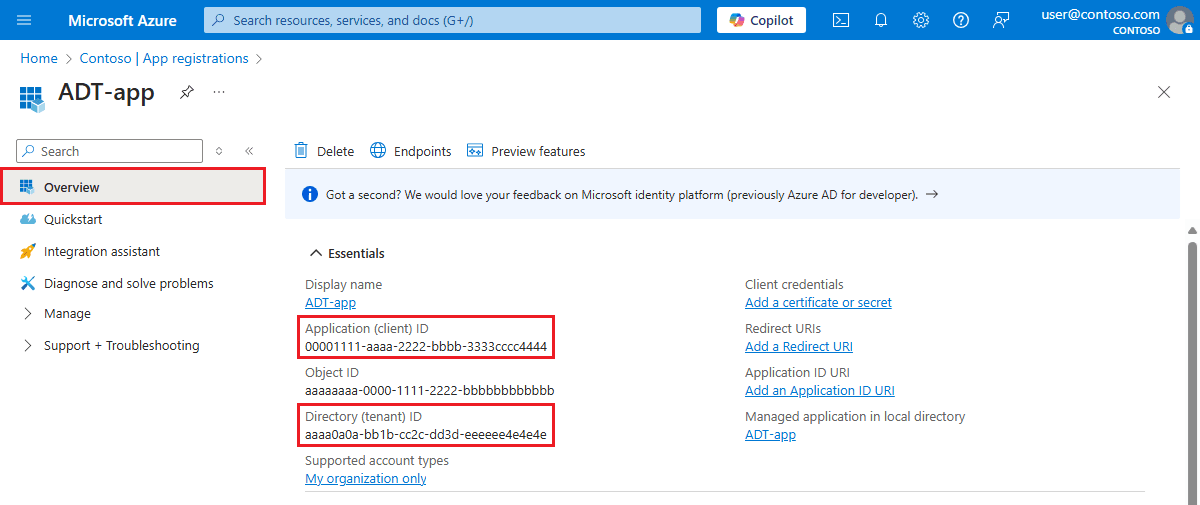 Screenshot showing the Application (client) ID and Directory (tenant) ID on the Overview page