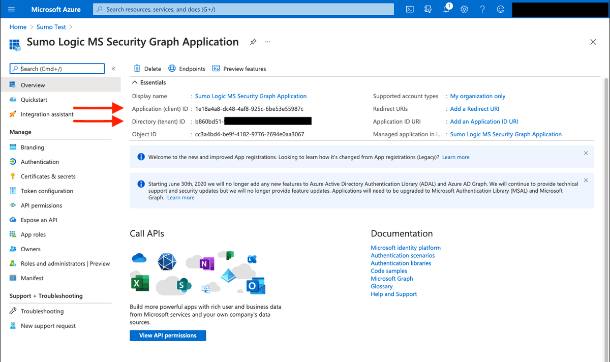 Screenshot showing the Application (client) ID and Directory (tenant) ID on the Overview page