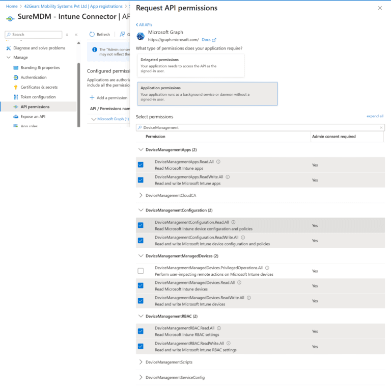 Screenshot showing the selected DeviceManagementApps permissions