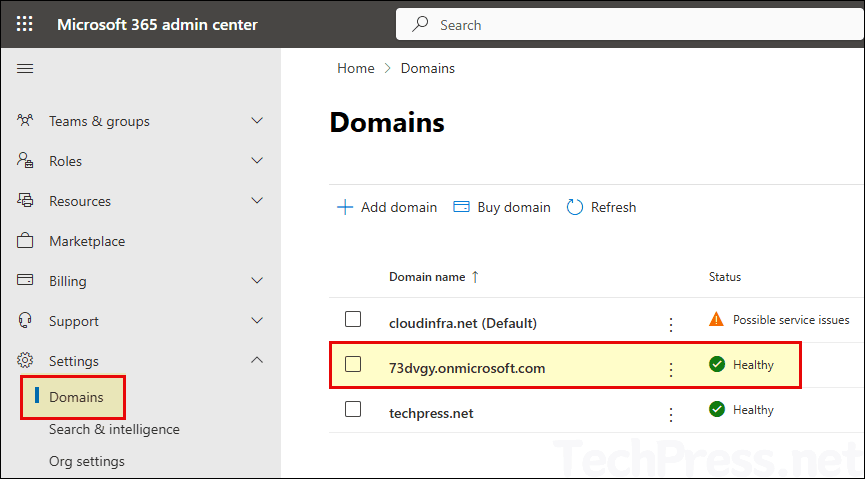 Screenshot of the Domains settings page listing the tenant domain