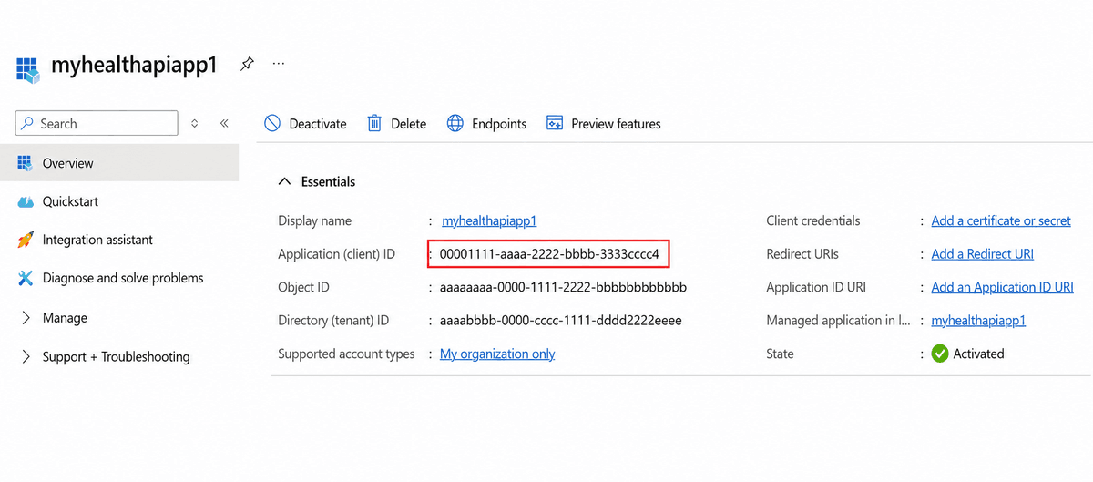 Screenshot of the registered application's Overview page showing the Application (client) ID