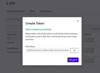 Screenshot of the generated API token