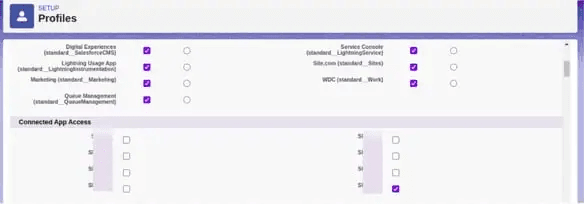 Screenshot of the Connected App Access section