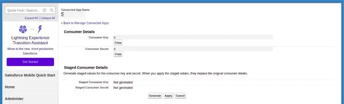 Screenshot of the consumer key and consumer secret values