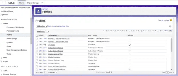 Screenshot of the New Profile form with Standard User selected