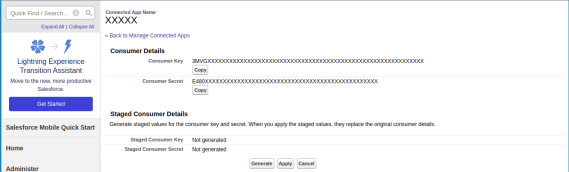 Screenshot of the consumer key and consumer secret values