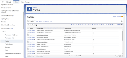 Screenshot of the New Profile form with Standard User selected