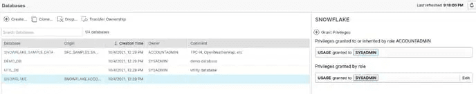 Snowflake database grant privileges drawer
