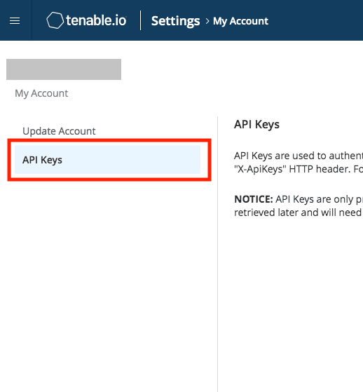 API Keys tab